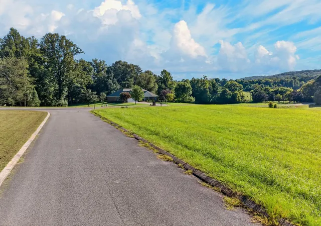 Photo 1 of Land for sale at 175 Spring Cove Lane, Spring City, TN 37381 | MLS# 3527453 | Listing updated on 2026-09-11