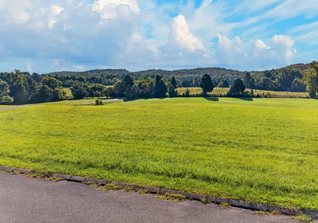Photo 3 of Land for sale at 175 Spring Cove Lane, Spring City, TN 37381 | MLS# 3527453 | Listing updated on 2026-09-11