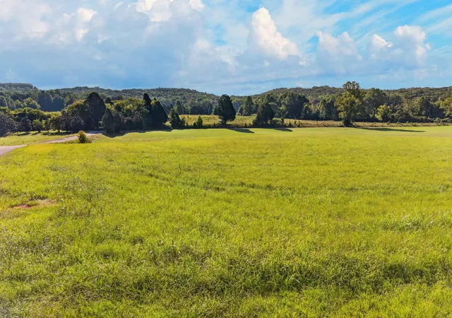 Photo 4 of Land for sale at 175 Spring Cove Lane, Spring City, TN 37381 | MLS# 3527453 | Listing updated on 2026-09-11