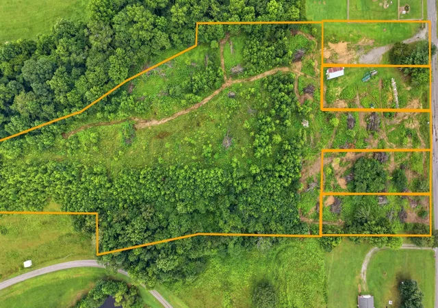Photo 2 of Land for sale at 0 County Road 315, Bryant, AL 35958 | MLS# 3527469 | Listing updated on 2026-09-11