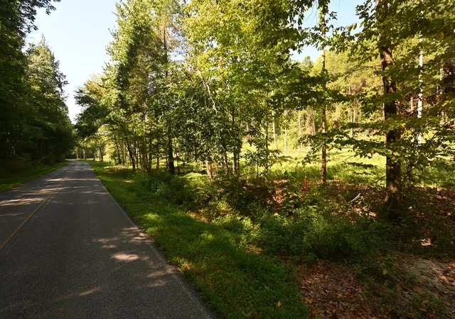 Land for sale at 1826 Swindle Crk Rd, Linden, TN 37096 | MLS# 3544811