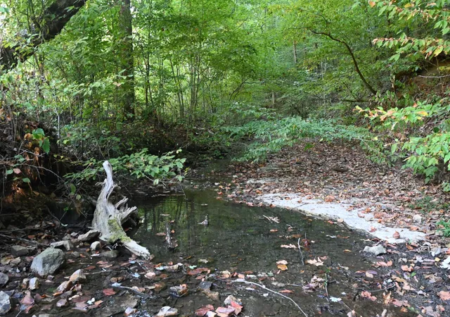 Photo 1 of Land for sale at 1826 Swindle Crk Rd, Linden, TN 37096 | MLS# 3544811 | Listing updated on 2026-09-15