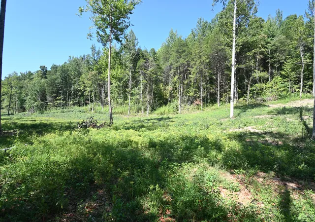 Photo 2 of Land for sale at 1826 Swindle Crk Rd, Linden, TN 37096 | MLS# 3544811 | Listing updated on 2026-09-15