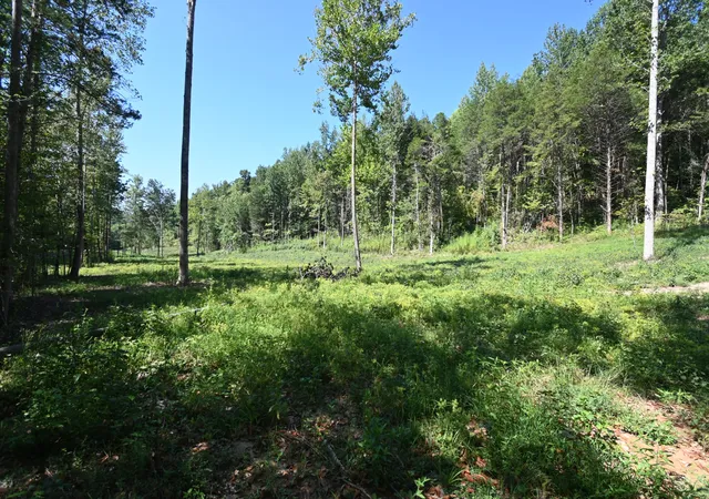 Photo 3 of Land for sale at 1826 Swindle Crk Rd, Linden, TN 37096 | MLS# 3544811 | Listing updated on 2026-09-15