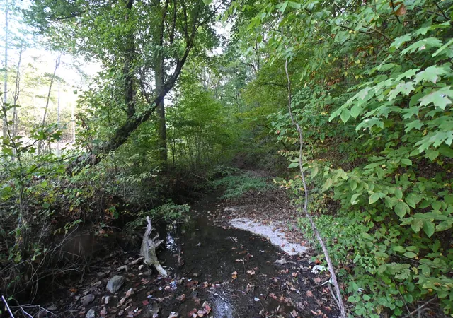 Photo 4 of Land for sale at 1826 Swindle Crk Rd, Linden, TN 37096 | MLS# 3544811 | Listing updated on 2026-09-15