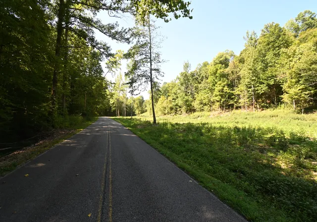 Land for sale at 1928 Swindle Crk Rd, Linden, TN 37096 | MLS# 3544826