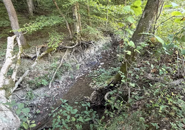 Photo 1 of Land for sale at 1928 Swindle Crk Rd, Linden, TN 37096 | MLS# 3544826 | Listing updated on 2026-09-15