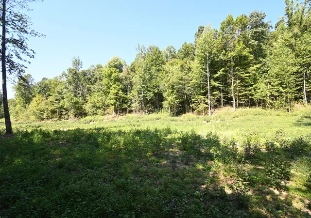 Photo 2 of Land for sale at 1928 Swindle Crk Rd, Linden, TN 37096 | MLS# 3544826 | Listing updated on 2026-09-15