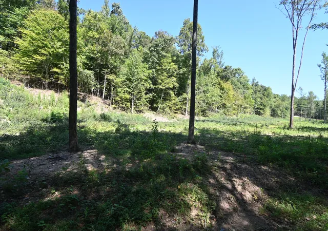 Photo 3 of Land for sale at 1928 Swindle Crk Rd, Linden, TN 37096 | MLS# 3544826 | Listing updated on 2026-09-15