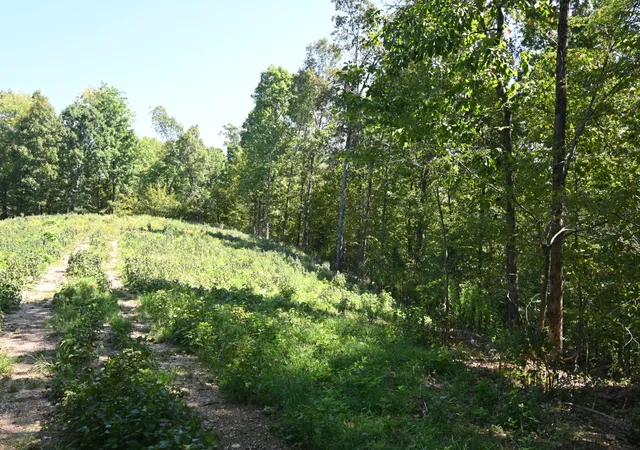 Photo 1 of Land for sale at 2038 Swindle Crk Rd, Linden, TN 37096 | MLS# 3544987 | Listing updated on 2026-09-09