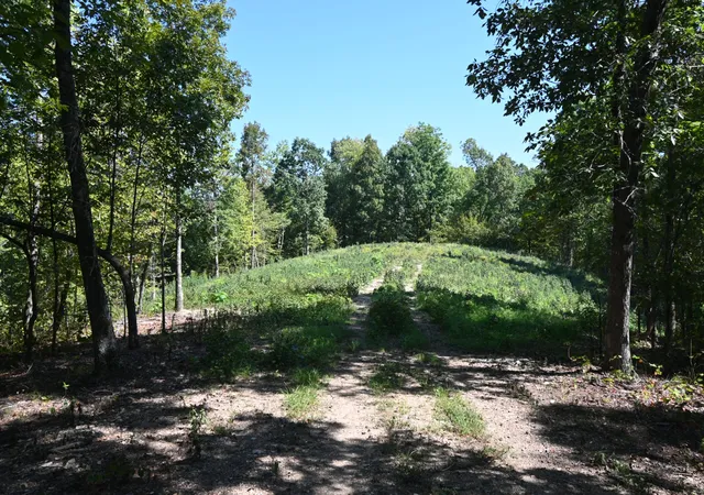 Photo 2 of Land for sale at 2038 Swindle Crk Rd, Linden, TN 37096 | MLS# 3544987 | Listing updated on 2026-09-09