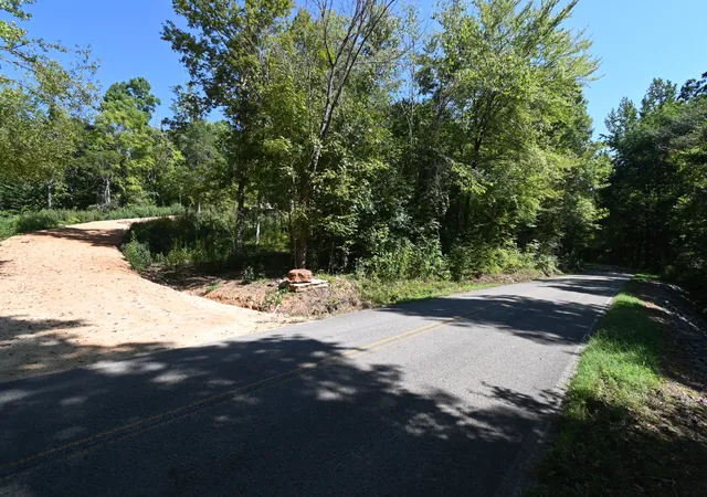 Photo 3 of Land for sale at 2038 Swindle Crk Rd, Linden, TN 37096 | MLS# 3544987 | Listing updated on 2026-09-09