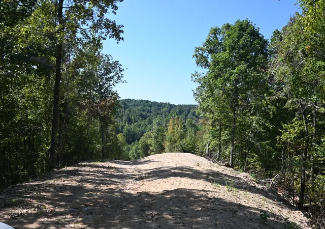 Photo 4 of Land for sale at 2038 Swindle Crk Rd, Linden, TN 37096 | MLS# 3544987 | Listing updated on 2026-09-09