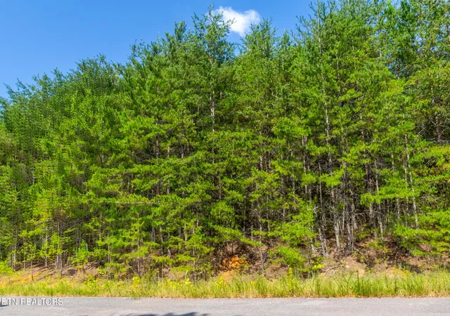 Photo 1 of Land for sale at 742 White Dogwood Rd, Newport, TN 37821 | MLS# 3527533 | Listing updated on 2026-09-26
