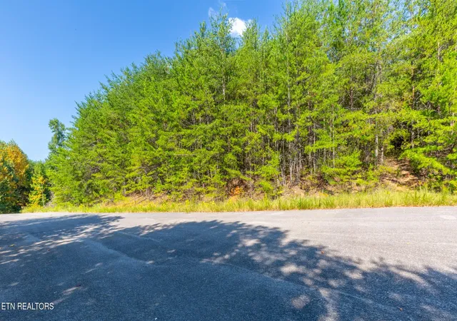 Photo 3 of Land for sale at 742 White Dogwood Rd, Newport, TN 37821 | MLS# 3527533 | Listing updated on 2026-09-26