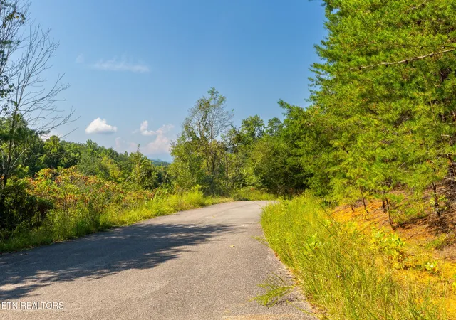 Photo 3 of Land for sale at 742 White Dogwood Rd, Newport, TN 37821 | MLS# 3527533 | Listing updated on 2026-09-26
