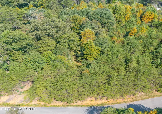 Photo 4 of Land for sale at 742 White Dogwood Rd, Newport, TN 37821 | MLS# 3527533 | Listing updated on 2026-09-26