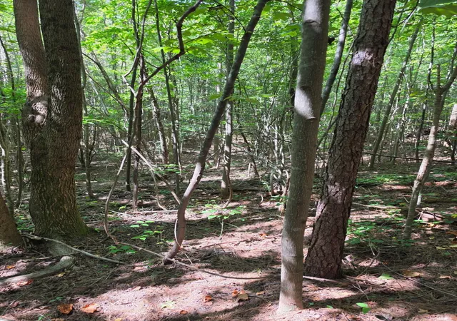 Photo 2 of Land for sale at 1015 Hotwater Road, Soddy Daisy, TN 37379 | MLS# 3527580 | Listing updated on 2026-09-15