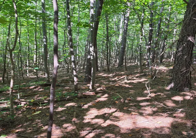 Photo 3 of Land for sale at 1015 Hotwater Road, Soddy Daisy, TN 37379 | MLS# 3527580 | Listing updated on 2026-09-15