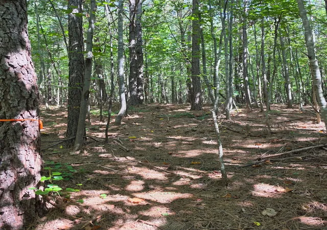 Photo 3 of Land for sale at 1015 Hotwater Road, Soddy Daisy, TN 37379 | MLS# 3527580 | Listing updated on 2026-09-15
