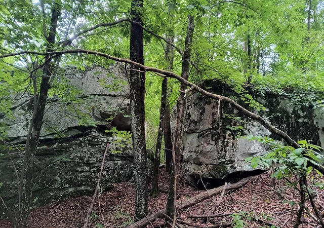 Photo 3 of Land for sale at 1013 Hotwater Road, Soddy Daisy, TN 37379 | MLS# 3527592 | Listing updated on 2026-09-15