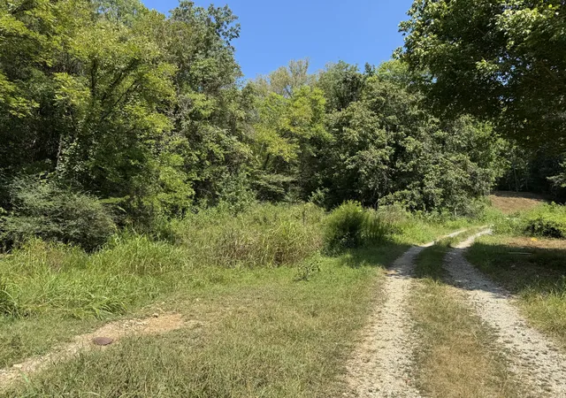 Photo 2 of Land for sale at 375 Watts Holw Rd, Buffalo Valley, TN 38548 | MLS# 3530029 | Listing updated on 2026-10-06