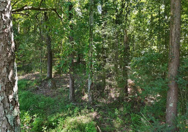 Land for sale at 0 Fezzell Road, Decatur, TN 37322 | MLS# 3527892