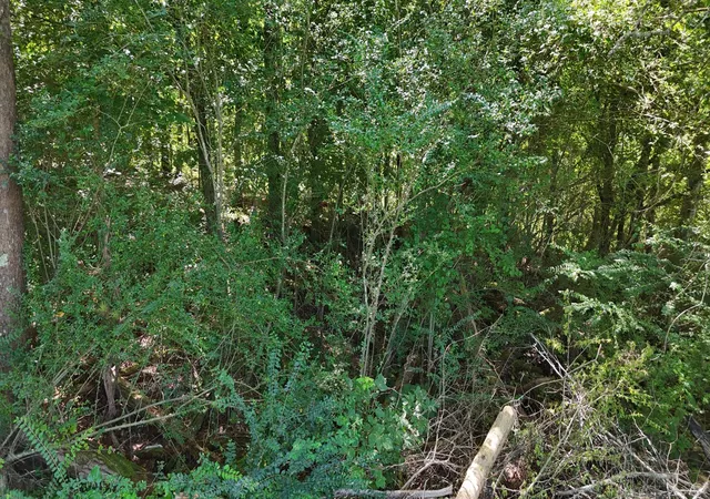Photo 1 of Land for sale at 0 Fezzell Road, Decatur, TN 37322 | MLS# 3527892 | Listing updated on 2026-10-07