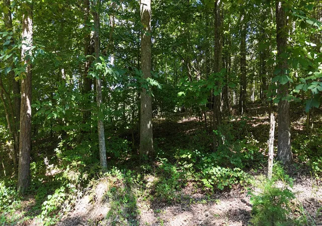 Photo 3 of Land for sale at 0 Fezzell Road, Decatur, TN 37322 | MLS# 3527892 | Listing updated on 2026-10-07