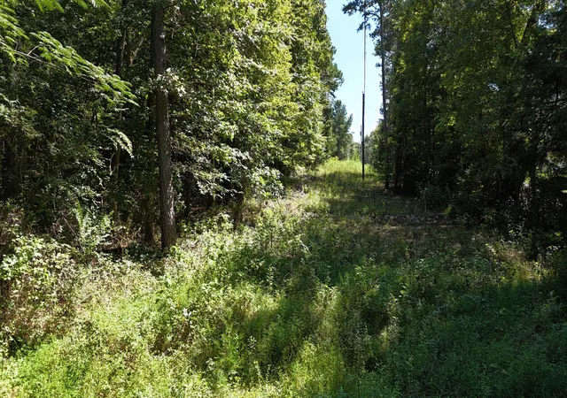 Photo 4 of Land for sale at 0 Fezzell Road, Decatur, TN 37322 | MLS# 3527892 | Listing updated on 2026-10-07