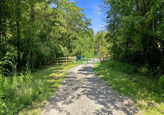Photo 3 of Land for sale at 787 Morgan Road Ne, Charleston, TN 37310 | MLS# 3528880 | Listing updated on 2026-09-11