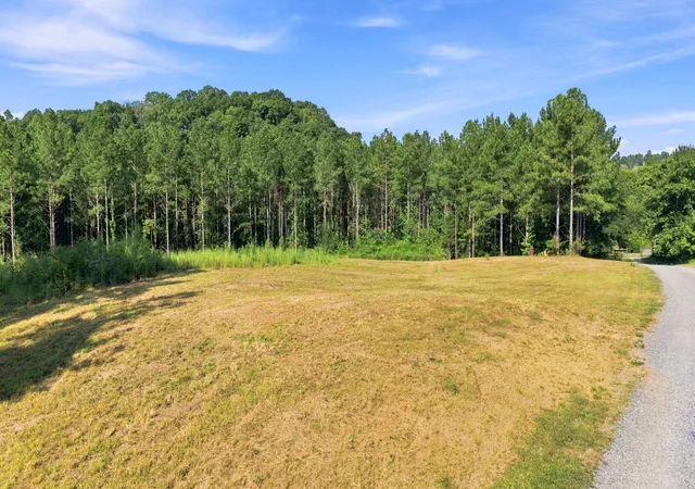 Photo 3 of Land for sale at 787 Morgan Road Ne, Charleston, TN 37310 | MLS# 3528880 | Listing updated on 2026-09-11