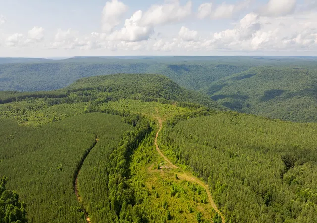 Photo 2 of Land for sale at 0 Flowing Well Road, Spencer, TN 38585 | MLS# 3528534 | Listing updated on 2026-09-11