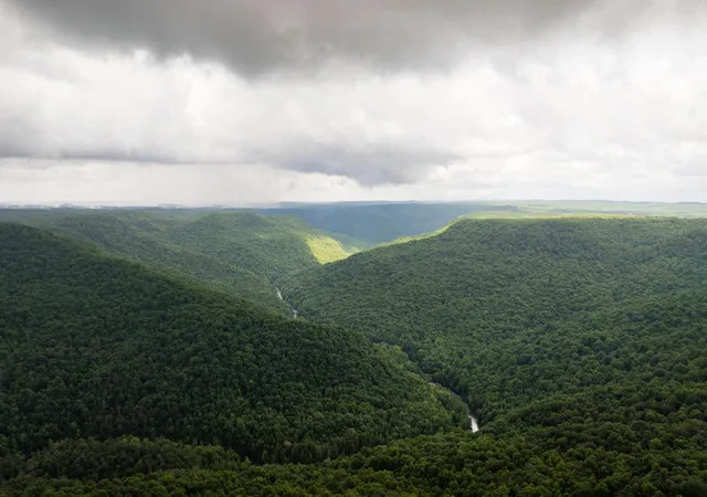 Photo 3 of Land for sale at 0 Flowing Well Road, Spencer, TN 38585 | MLS# 3528534 | Listing updated on 2026-09-11