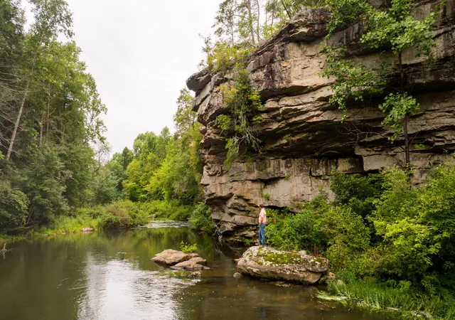 Photo 4 of Land for sale at 0 Flowing Well Road, Spencer, TN 38585 | MLS# 3528534 | Listing updated on 2026-09-11