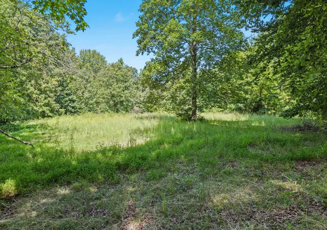 Photo 3 of Land for sale at 1320 Old Clarksville Pike, Pleasant View, TN 37146 | MLS# 3528855 | Listing updated on 2026-09-15