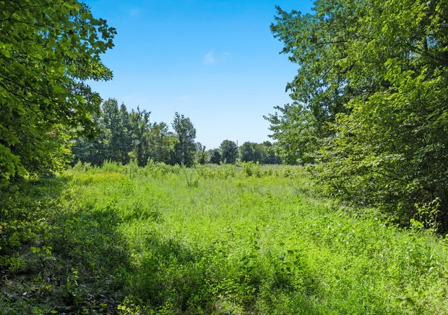 Photo 3 of Land for sale at 1320 Old Clarksville Pike, Pleasant View, TN 37146 | MLS# 3528855 | Listing updated on 2026-09-15