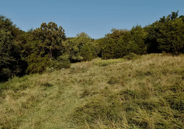 Photo 3 of Land for sale at 146 Bledsoe Rd, Petersburg, TN 37144 | MLS# 3531032 | Listing updated on 2026-09-14