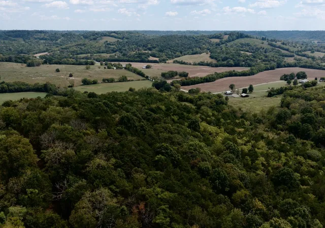 Photo 3 of Land for sale at 146 Bledsoe Rd, Petersburg, TN 37144 | MLS# 3531032 | Listing updated on 2026-09-14