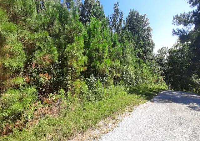 Photo 1 of Land for sale at 0 Tate Dr, Buchanan, TN 38222 | MLS# 3529886 | Listing updated on 2026-09-14