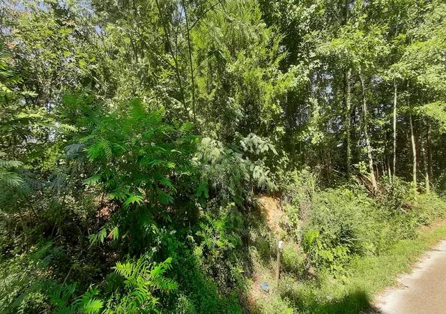 Photo 2 of Land for sale at 0 Tate Dr, Buchanan, TN 38222 | MLS# 3529886 | Listing updated on 2026-09-14