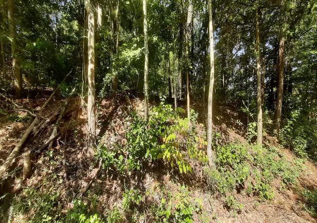 Photo 3 of Land for sale at 0 Tate Dr, Buchanan, TN 38222 | MLS# 3529886 | Listing updated on 2026-09-14