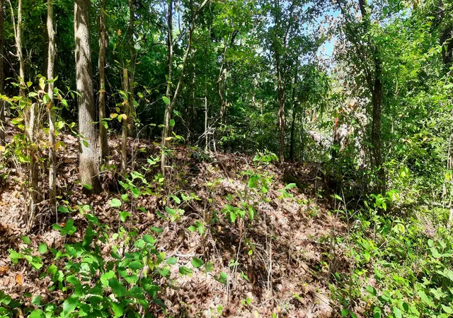 Photo 3 of Land for sale at 0 Tate Dr, Buchanan, TN 38222 | MLS# 3529886 | Listing updated on 2026-09-14