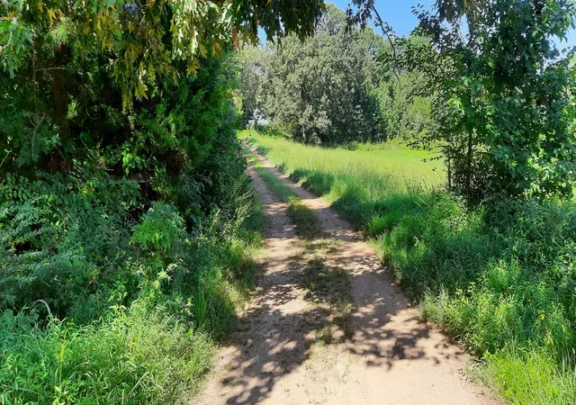 Photo 4 of Land for sale at 0 Tate Dr, Buchanan, TN 38222 | MLS# 3529886 | Listing updated on 2026-09-14