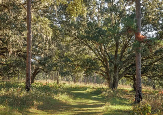 Photo 3 of Land for sale at 9700 Old Magnolia Rd, Tallahassee, FL 32309 | MLS# 3530088 | Listing updated on 2026-09-11