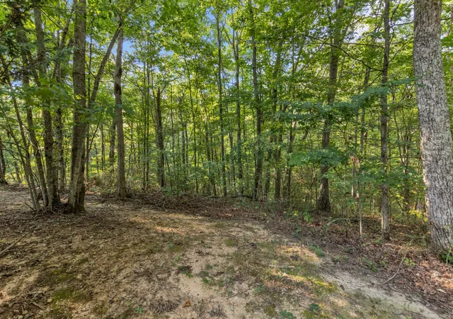 Photo 3 of Single family home for sale at 3200 Partin Farm Rd, Tracy City, TN 37387 | MLS# 3542498 | Listing updated on 2026-09-12