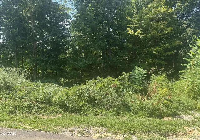 Photo 3 of Land for sale at 1921 Battle Top Rd, Sevierville, TN 37876 | MLS# 3531157 | Listing updated on 2026-09-23