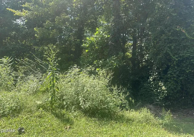 Photo 4 of Land for sale at 1921 Battle Top Rd, Sevierville, TN 37876 | MLS# 3531157 | Listing updated on 2026-09-23