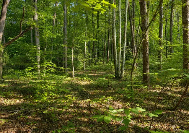 Photo 3 of Sale Pending at 0 Three Point Rd, Tellico Plains, TN 37385 | MLS# 3531630 | Listing updated on 2026-09-11