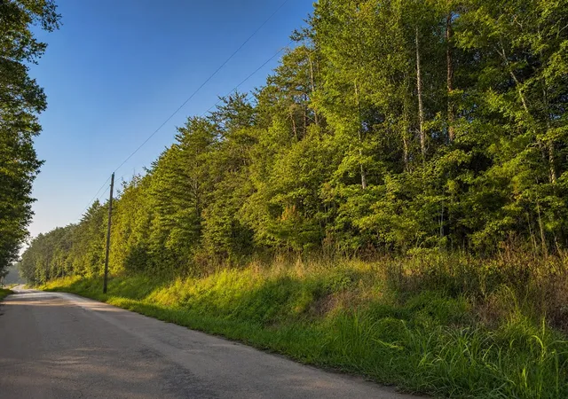 Photo 3 of Sale Pending at 0 Three Point Rd, Tellico Plains, TN 37385 | MLS# 3531630 | Listing updated on 2026-09-11